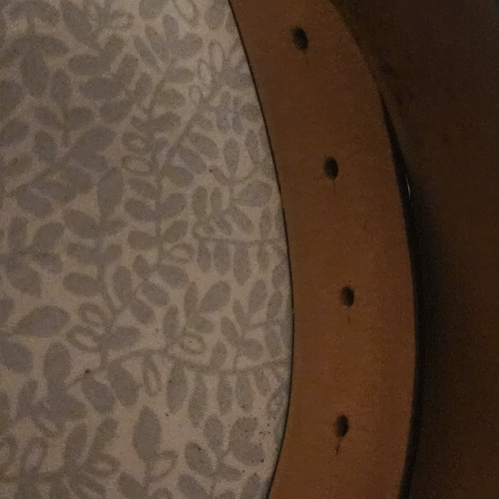 Elegant Black and Gold Women's Belt - Picture 3 of 4